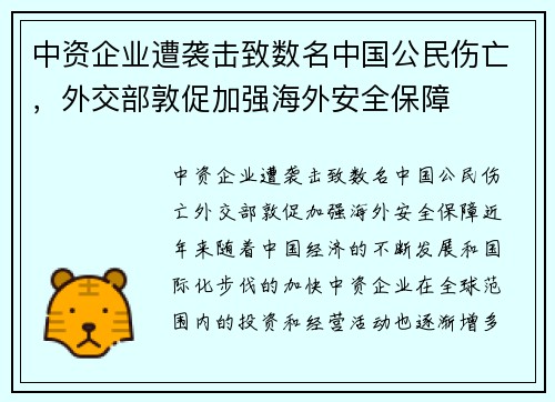 中资企业遭袭击致数名中国公民伤亡，外交部敦促加强海外安全保障