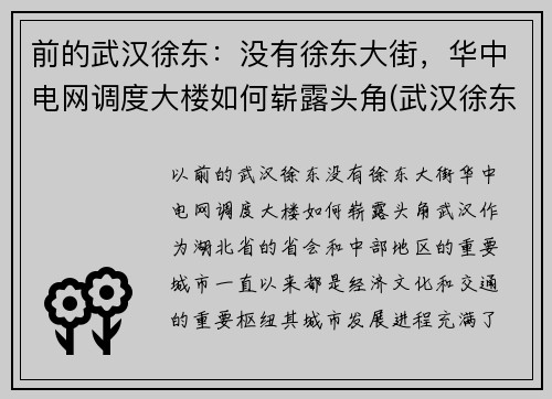 前的武汉徐东：没有徐东大街，华中电网调度大楼如何崭露头角(武汉徐东变电站)