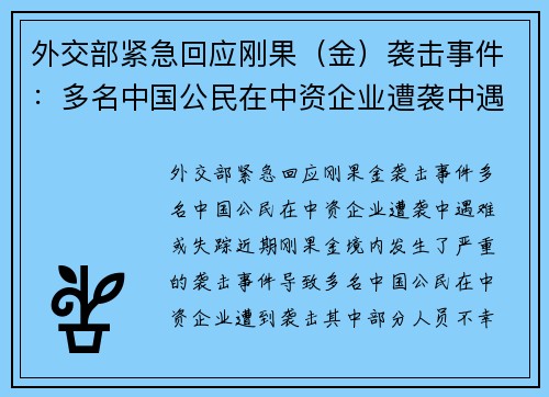 外交部紧急回应刚果（金）袭击事件：多名中国公民在中资企业遭袭中遇难或失踪