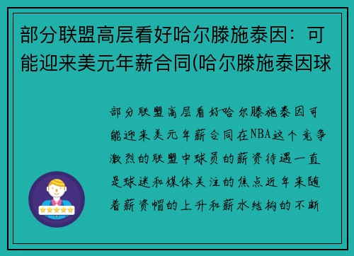 部分联盟高层看好哈尔滕施泰因：可能迎来美元年薪合同(哈尔滕施泰因球探报告)
